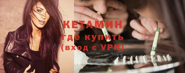 шишки Белоозёрский