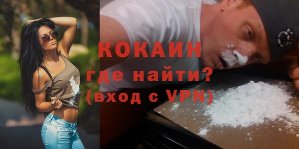 шишки Белоозёрский