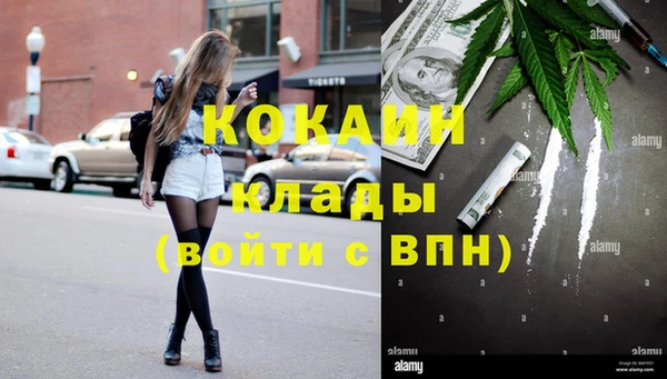 шишки Белоозёрский