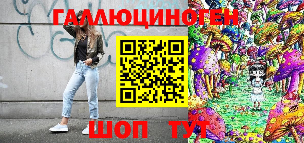 Галлюциногенные грибы Psilocybe  Вход с VPN  Вятские Поляны 